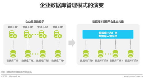 2022年数据库云管平台白皮书