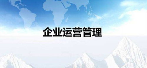 企业运营管理四大误区
